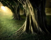 /album/aaa/a2c3ad4867c-55983022-o2-jpg/