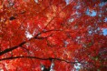/album/fotogalerie/a1344356387-2131401887-jpg/